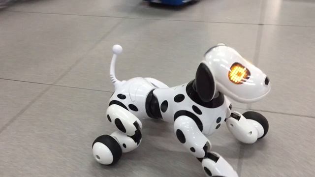 Smart robot dog concepttoy смотреть онлайн