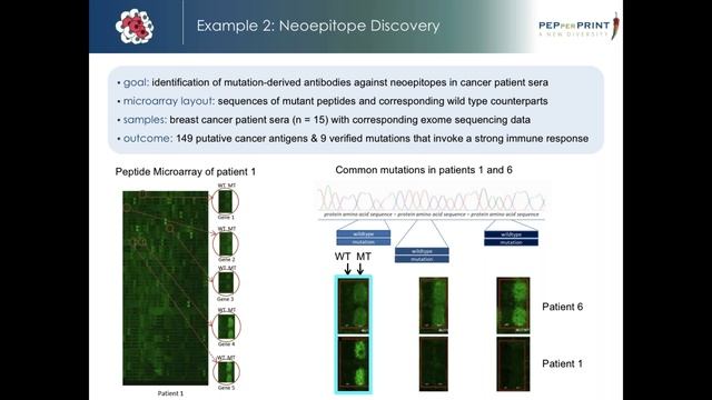Peptide Microarrays for Cancer Research смотреть онлайн