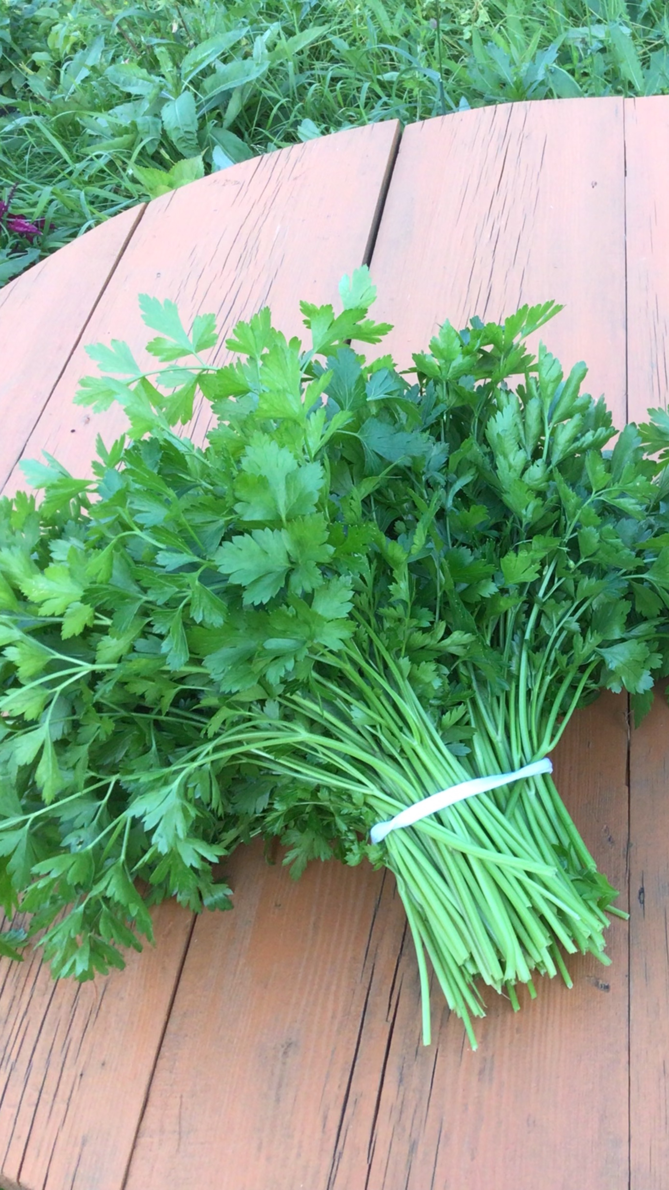 Посев петрушки для ранней зелени
#посев #петрушка #зелень #урожай #Верадача смотреть онлайн