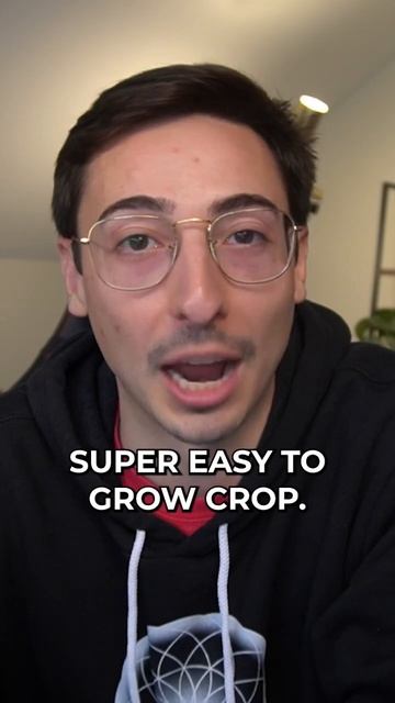 Pea microgreens: a beginner's supercrop! 🌱🤗 #peasplease смотреть онлайн