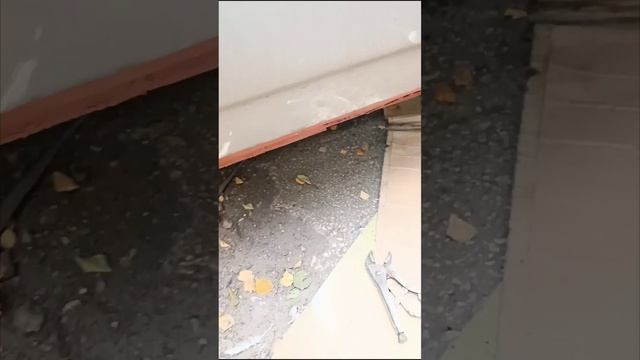 Замена пола Priora