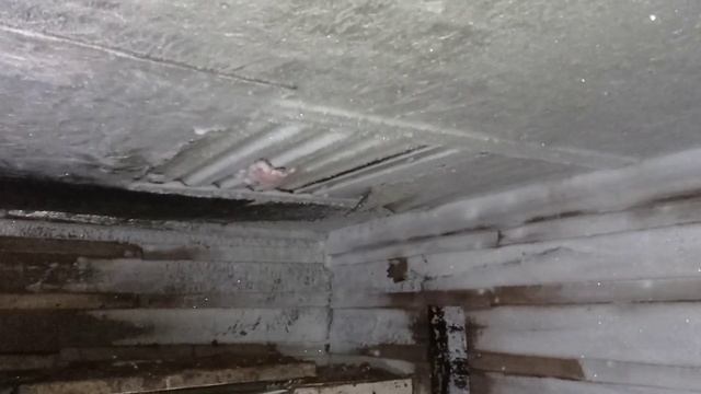 -39 Градус савукда товуклар кор еса хам тухимда смотреть онлайн