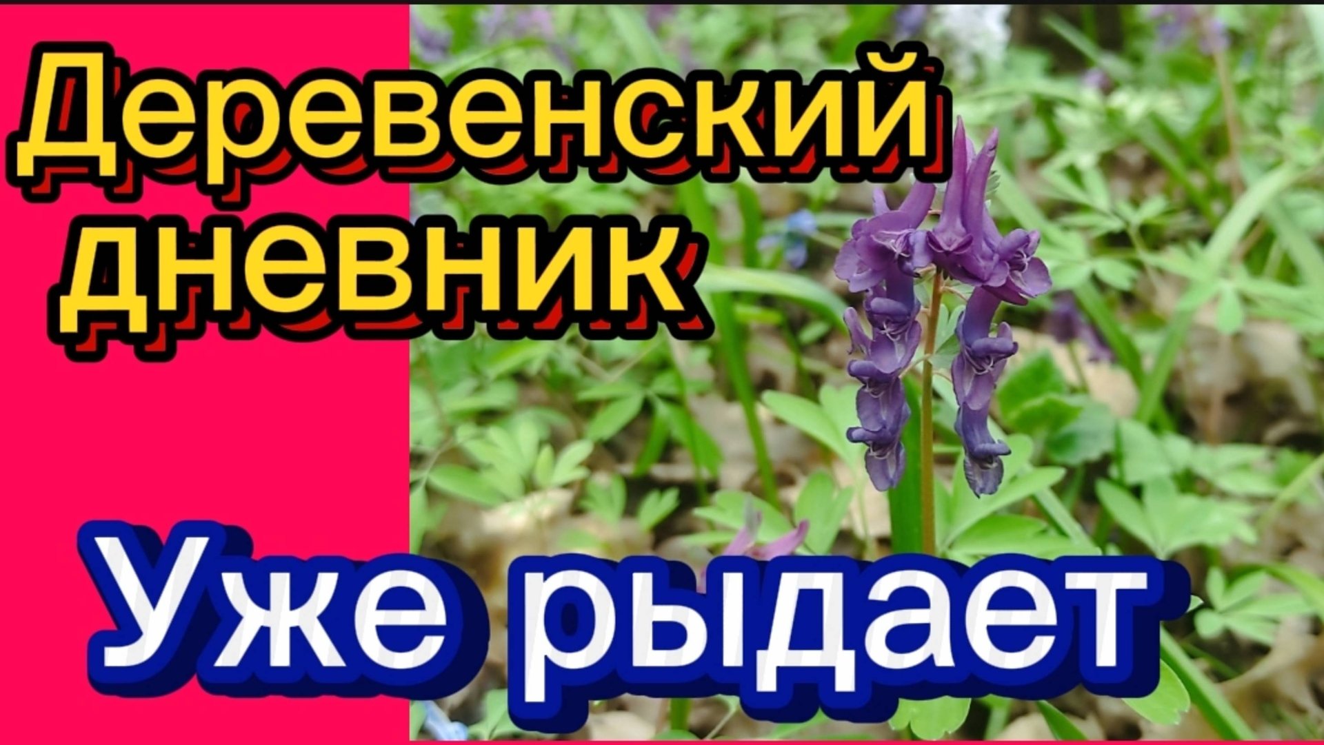 ДЕРЕВЕНСКИЙ ДНЕВНИК ОЧЕНЬ МНОГОДЕТНОЙ МАМЫ. "УЖЕ РЫДАЕТ..." смотреть онлайн