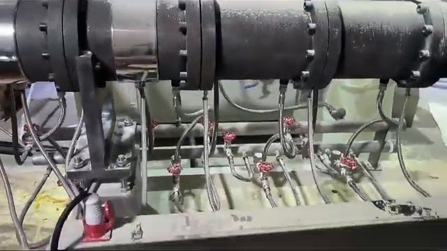 Запуск Линии для производства стекловидной кукурузной палочки 1500кг/ч (Китай) смотреть онлайн