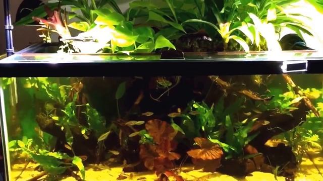 Our Day in the sun! The Riparium смотреть онлайн