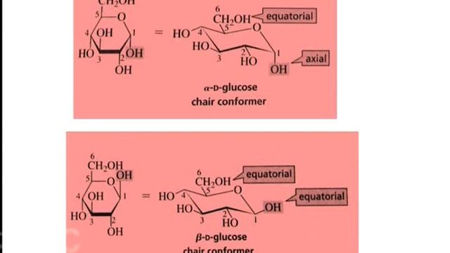 Carbohydrates : Structural Representations