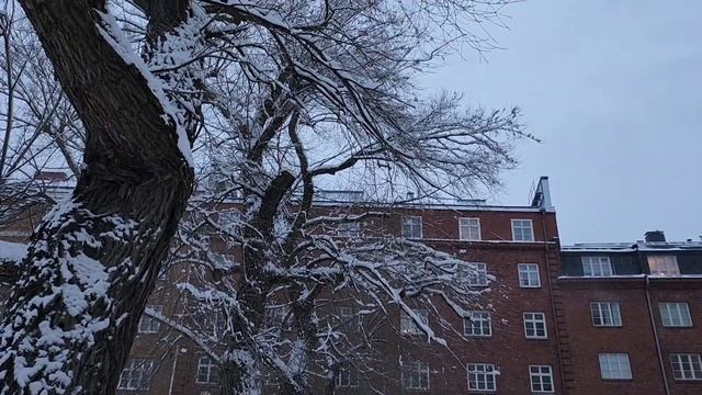 Finland travel, walking in Helsinki| Temppeliaukio Church, Kauppatori, Oodi February 22, 2023 смотреть онлайн