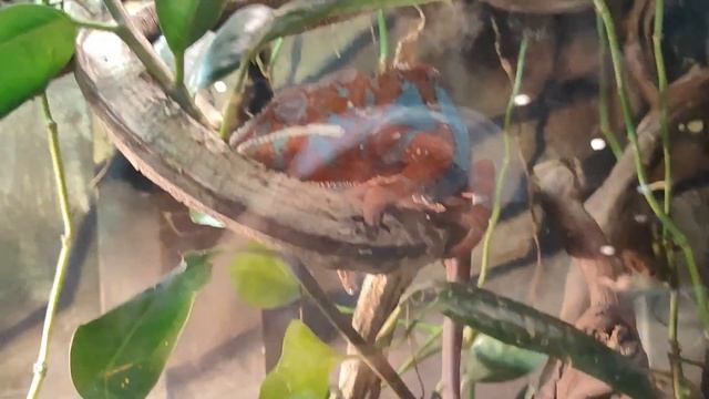 Экзотик заапарк смотреть онлайн