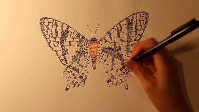 Sunset Moth Quick-Draw смотреть онлайн