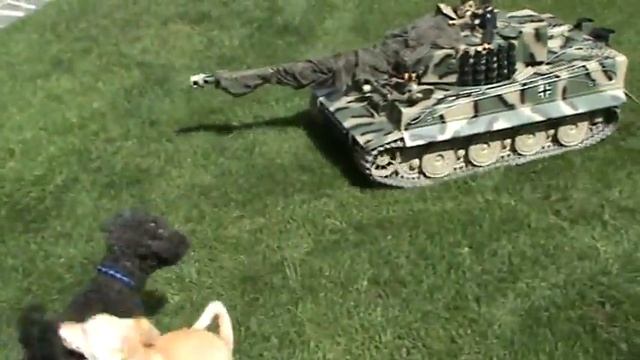 1/6 Scale Panzer Tank. I guess the dog doesn't like it, since he tried to eat it. смотреть онлайн