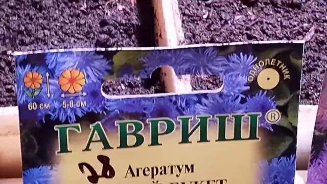 Белокрылка Упреждающий удар смотреть онлайн