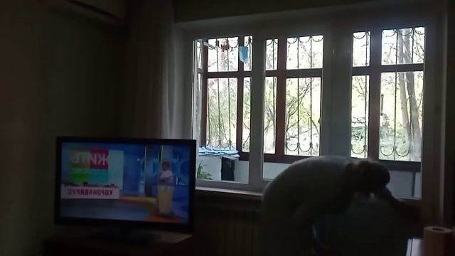 МАТИВАЦИЯ НА УБОРКУ!
жизнь в Крыму влоги каждый день моем смотреть онлайн