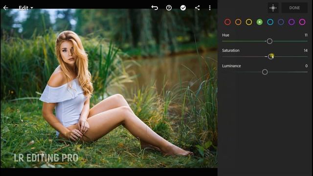 How to Edit Professional Photography | Lightroom Outdoor Preset DNG Free Download | LR Editing Pro смотреть онлайн