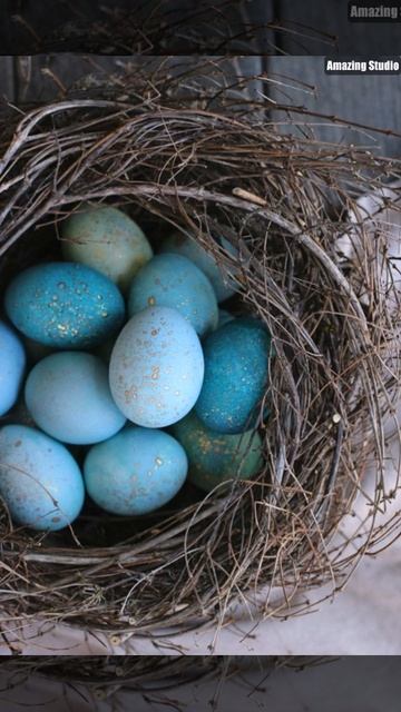 DIY Dyed Robin Eggs смотреть онлайн