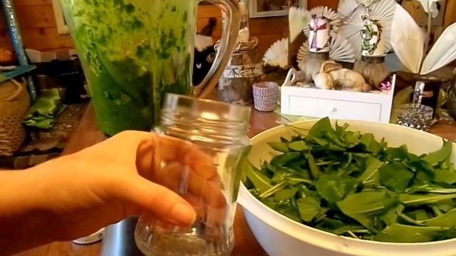 DIY/ LECKERRRR Machs selber 5 BÄRLAUCH - PESTO REZEPTE :)) so einfach & lange haltbar!!! смотреть онлайн
