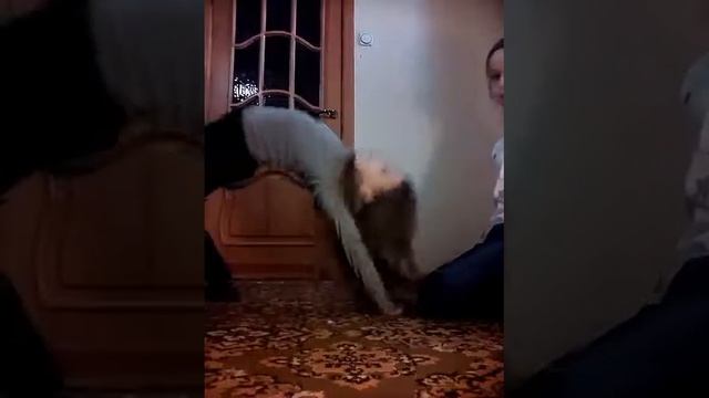 Челендж гимнастика 1 часть смотреть онлайн