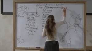 ИСЦЕЛЕНИЕ РАЗУМА И ЗАЩИТА ОТ ДЕПРЕССИИ__БАРБАРА ОНИЛЛ