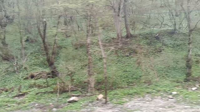 ГОРНАЯ ЗОНА ОСЕТИИ.