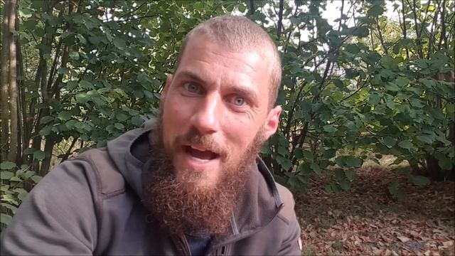 Naturnørd 34. Verdens største tusindben. смотреть онлайн
