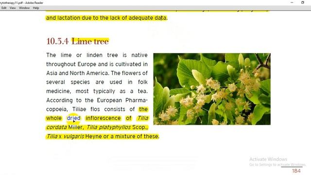 Herbs affecting on immune system смотреть онлайн