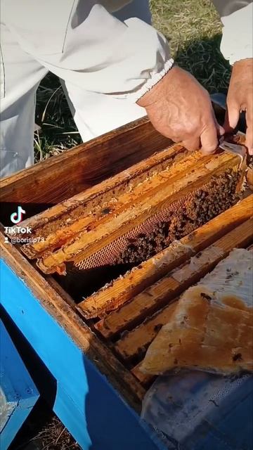 Апрель 🐝🐝🐝🐝 Печатка 🐝🐝🐝🐝 смотреть онлайн