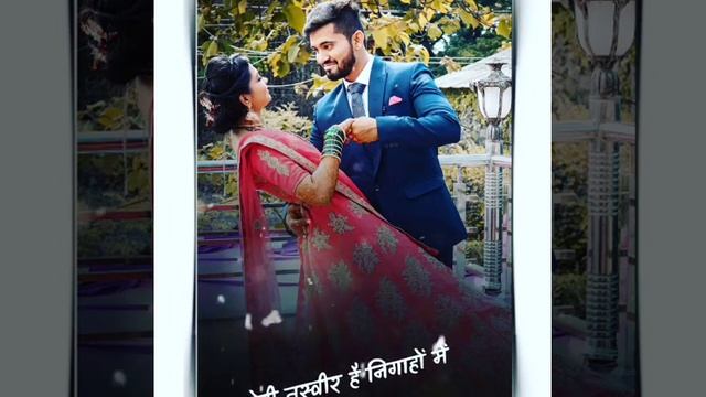 ❤️ love bird's ❤️ смотреть онлайн