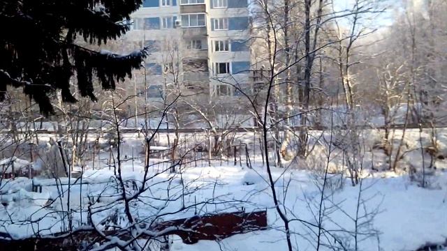 Купель в лесу смотреть онлайн