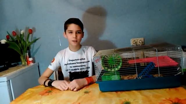 ТОП 5 ФАКТОВ ПРО ХОМЯКОВ смотреть онлайн