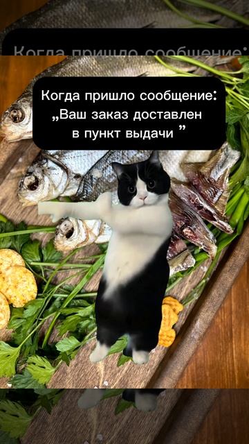 #рыба ВЕСЕННЯ ВОБЛА В ПРОДАЖЕ 🔥 телефон для заказа: +7(999)600-46-17 смотреть онлайн