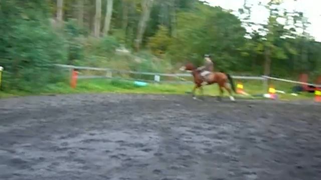 Jeg og Mira ri litt Mounted Games смотреть онлайн