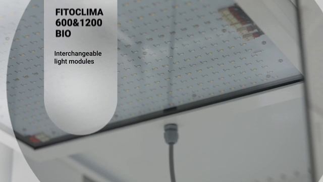 Aralab FitoClima 'reach-in' Plant Growth Environmental chambers смотреть онлайн