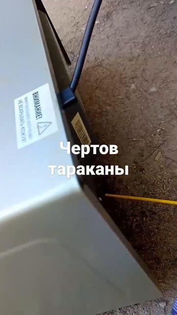 Борьба с тараканами смотреть онлайн