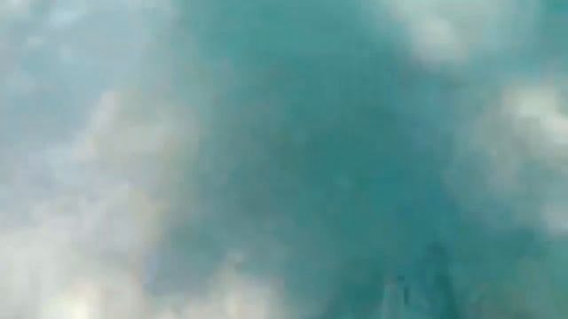 Feeding the Rays смотреть онлайн