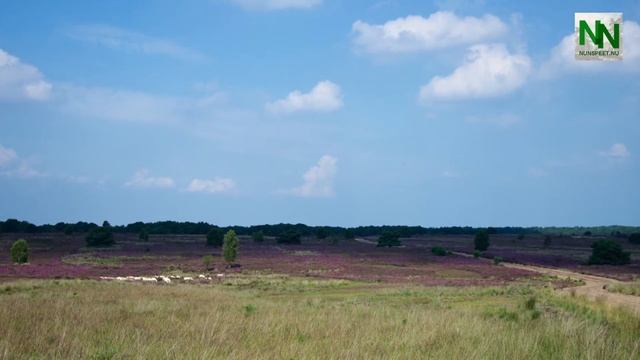 Favoriete plekje Gerard Mulder смотреть онлайн