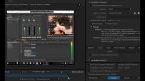как сохранить видео в adobe premiere pro с качеством)