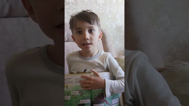 Морские жители. Рыбы. Рассказывает Батуша. смотреть онлайн
