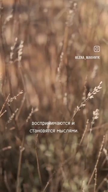 ТИШИНА #здесьисейчас #чувствование #душа #осознанность #любовьксебе #тишина #природа смотреть онлайн