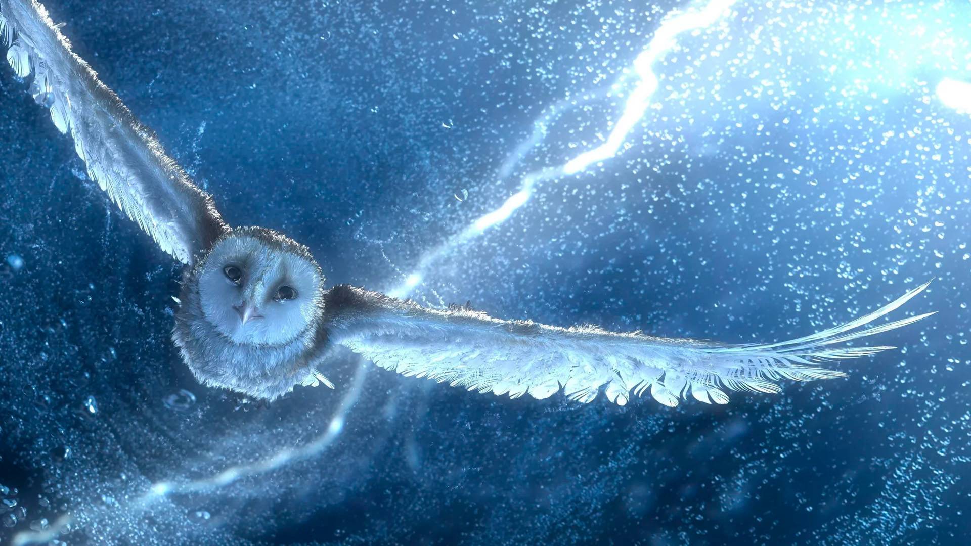 |Мотивация| Вы хоть раз летали?