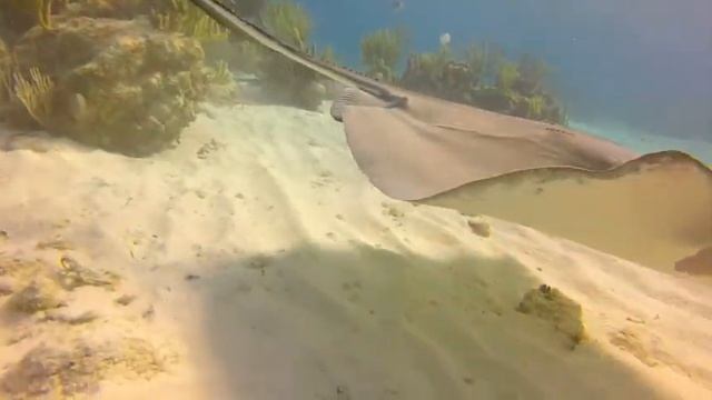 GrandCayman смотреть онлайн