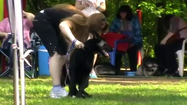 MOV02EСЩ Ива смотреть онлайн