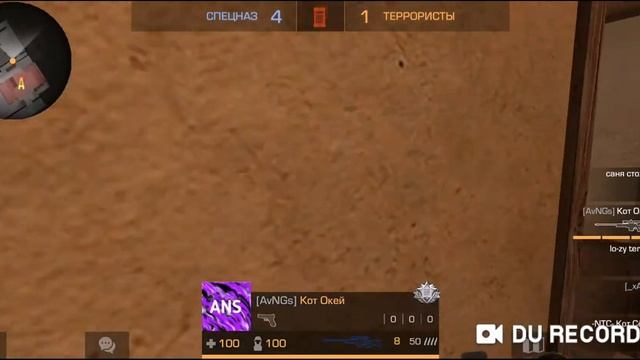 Кот играет в стандофф 2, Я тринеруюсь смотреть онлайн