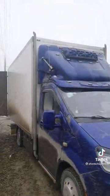 Газель моей мечты смотреть онлайн
