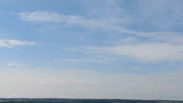 №5509 31 07 2024 Черный коршун смотреть онлайн