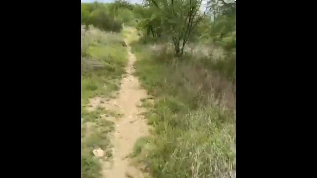 Conectando Con La Naturaleza/ Poncho De Nigris