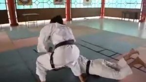 основы техники сёриндзи кэмпо BASIC TECHNIQUE IN SHORINJI KEMPO