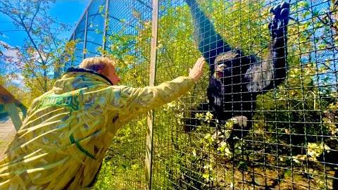 Я в УЖАСЕ от того, что узнала от Олега Зубкова после смерти сотрудника Московского ЗОО отУКУСА ЗМЕИ смотреть онлайн