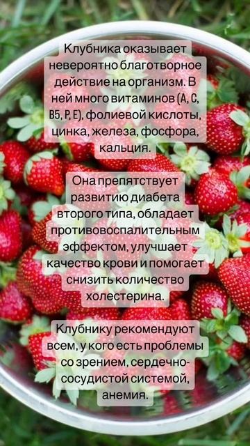 Польза клубники смотреть онлайн
