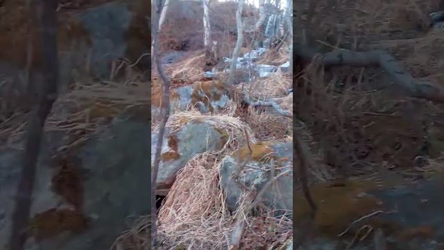 Оттаевает город Снежногорск 9 июня 2017 смотреть онлайн