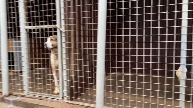 Внуки в гостях на пит-ее АЗОВСКИЙ ДОЗОР. ✋️ смотреть онлайн
