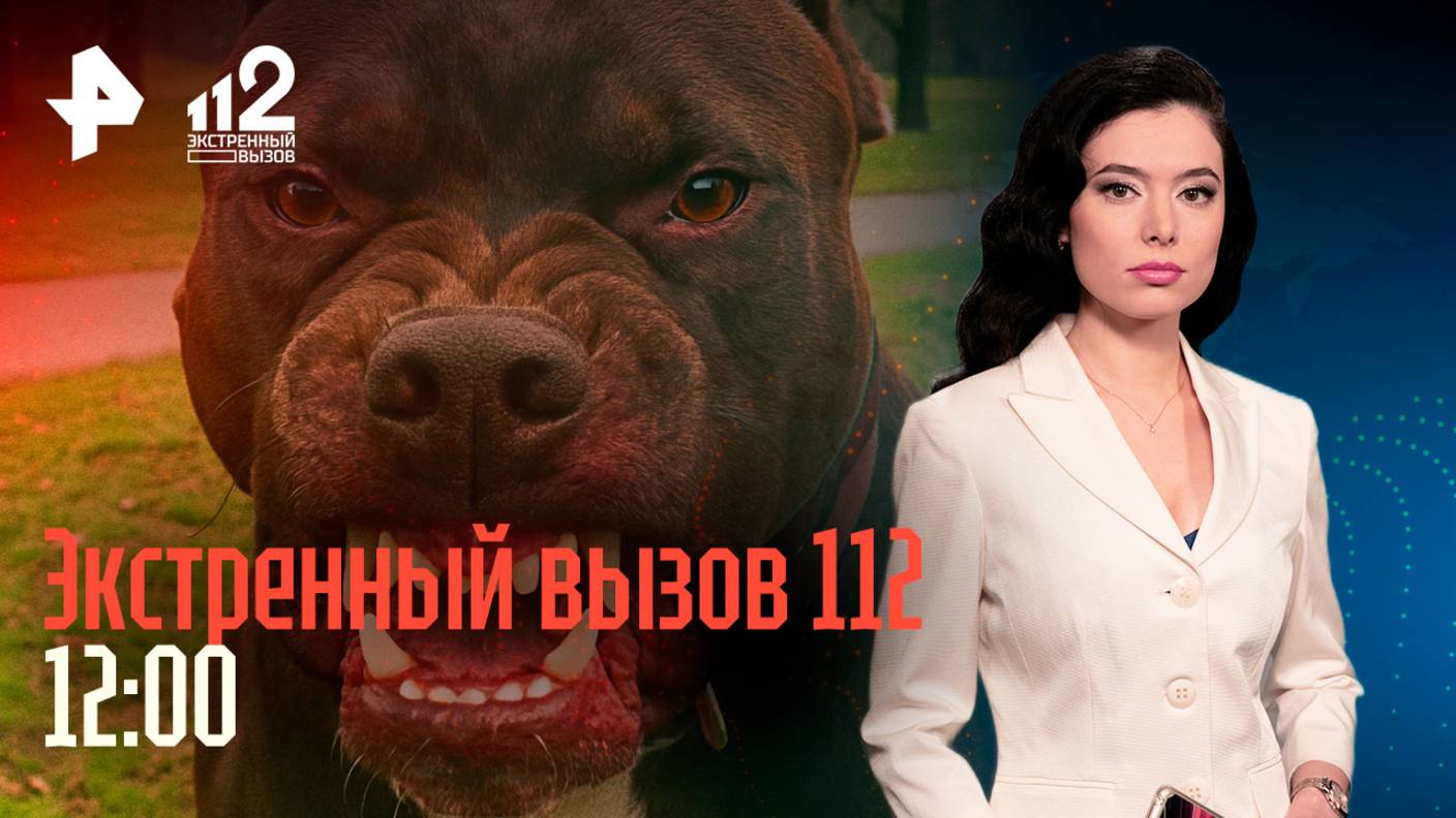 Дочь убила отца / Питбуль едва не отгрыз ухо ребенку / Афера с инкубационными яйцами / 112